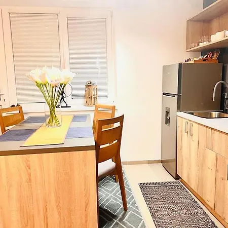 Sparrow Apartmens 2 - Vrabcia Ulica 9, *